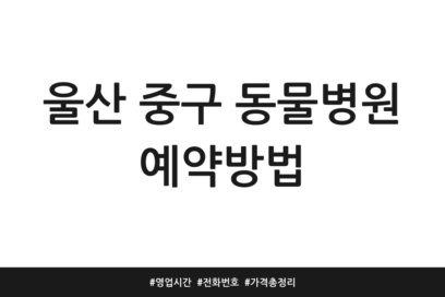 울산 중구 동물병원 예약방법 | 영업시간 | 전화번호 | 가격 총정리