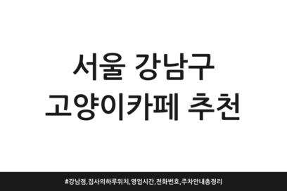 서울 강남구 고양이카페 추천 | 강남점, 집사의하루 위치, 영업시간, 전화번호, 주차 안내 총정리