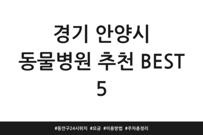 경기 안양시 동물병원 추천 BEST 5 | 동안구 24시 위치 | 요금 | 이용방법 | 주차 총정리