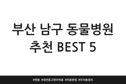 부산 남구 동물병원 추천 BEST 5 | 현황 | 대연동 고양이 비용 | 이용방법 | 주차 총정리