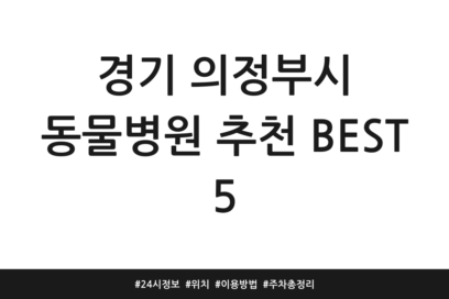 경기 의정부시 동물병원 추천 BEST 5 | 24시 정보 | 위치 | 이용방법 | 주차 총정리