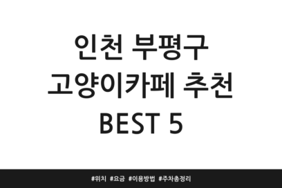 인천 부평구 고양이카페 추천 BEST 5 | 위치 | 요금 | 이용방법 | 주차 총정리