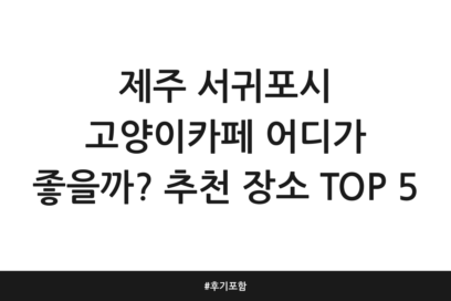 제주 서귀포시 고양이카페 어디가 좋을까? 추천 장소 TOP 5 | 후기 포함