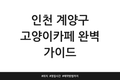 인천 계양구 고양이카페 완벽 가이드 | 위치 | 영업시간 | 예약방법까지
