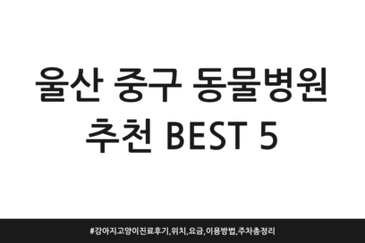울산 중구 동물병원 추천 BEST 5 | 강아지 고양이 진료 후기, 위치, 요금, 이용방법, 주차 총정리