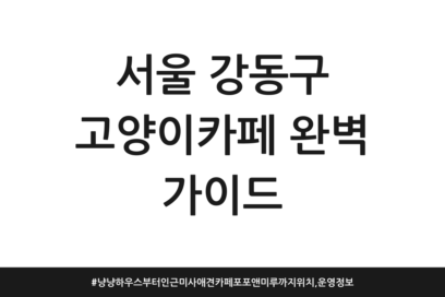 서울 강동구 고양이카페 완벽 가이드 | 냥냥하우스부터 인근 미사 애견카페 포포앤미루까지 위치, 운영 정보