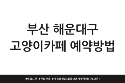 부산 해운대구 고양이카페 예약방법 | 영업시간 | 전화번호 | 가격 총정리 (좌동 냥춘기캣카페 11월 오픈)