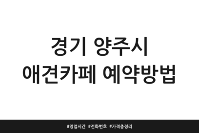 경기 양주시 애견카페 예약방법 | 영업시간 | 전화번호 | 가격 총정리