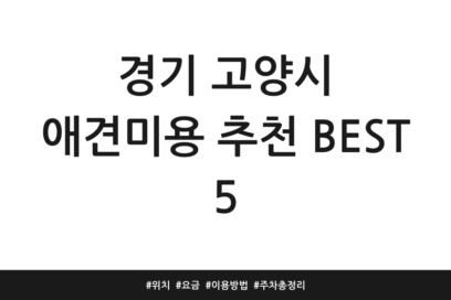 경기 고양시 애견미용 추천 BEST 5 | 위치 | 요금 | 이용방법 | 주차 총정리