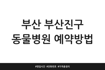 부산 부산진구 동물병원 예약방법 | 영업시간 | 전화번호 | 가격 총정리